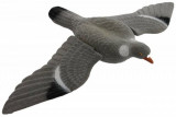 - Flock , létání vějička , Crow Holub